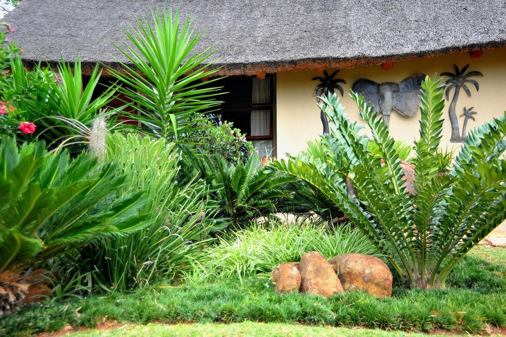 Palmwag Tzaneen Exteriör bild